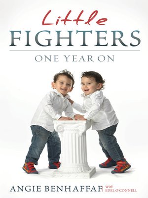 cover image of Little Fighters